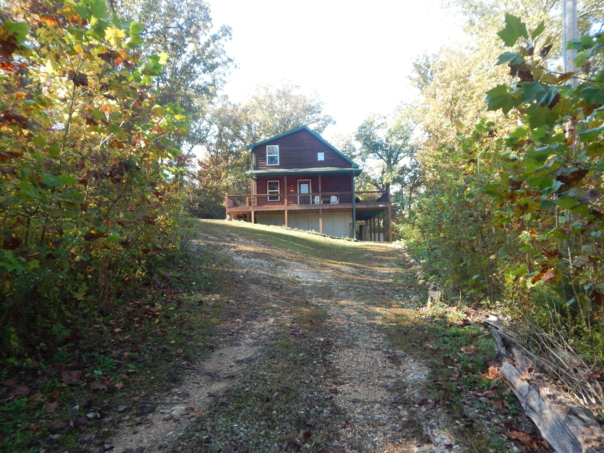 Surrounded by trees, the gravel drive up to our cabin on a late summer afternoon..