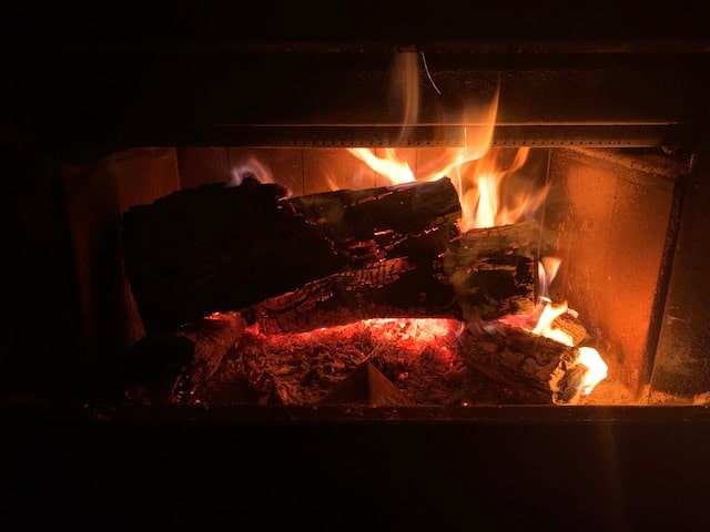 Logs burning in our fireplace insert.