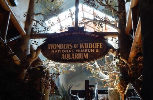 Large atrium in a museum with a large sign showing Wonders of Wildlife National Museum & Aquarium