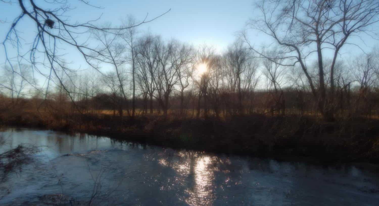 Calm river with trees and no leaves lining the banks with a meadow and more trees and the sun shining brighltly in the background