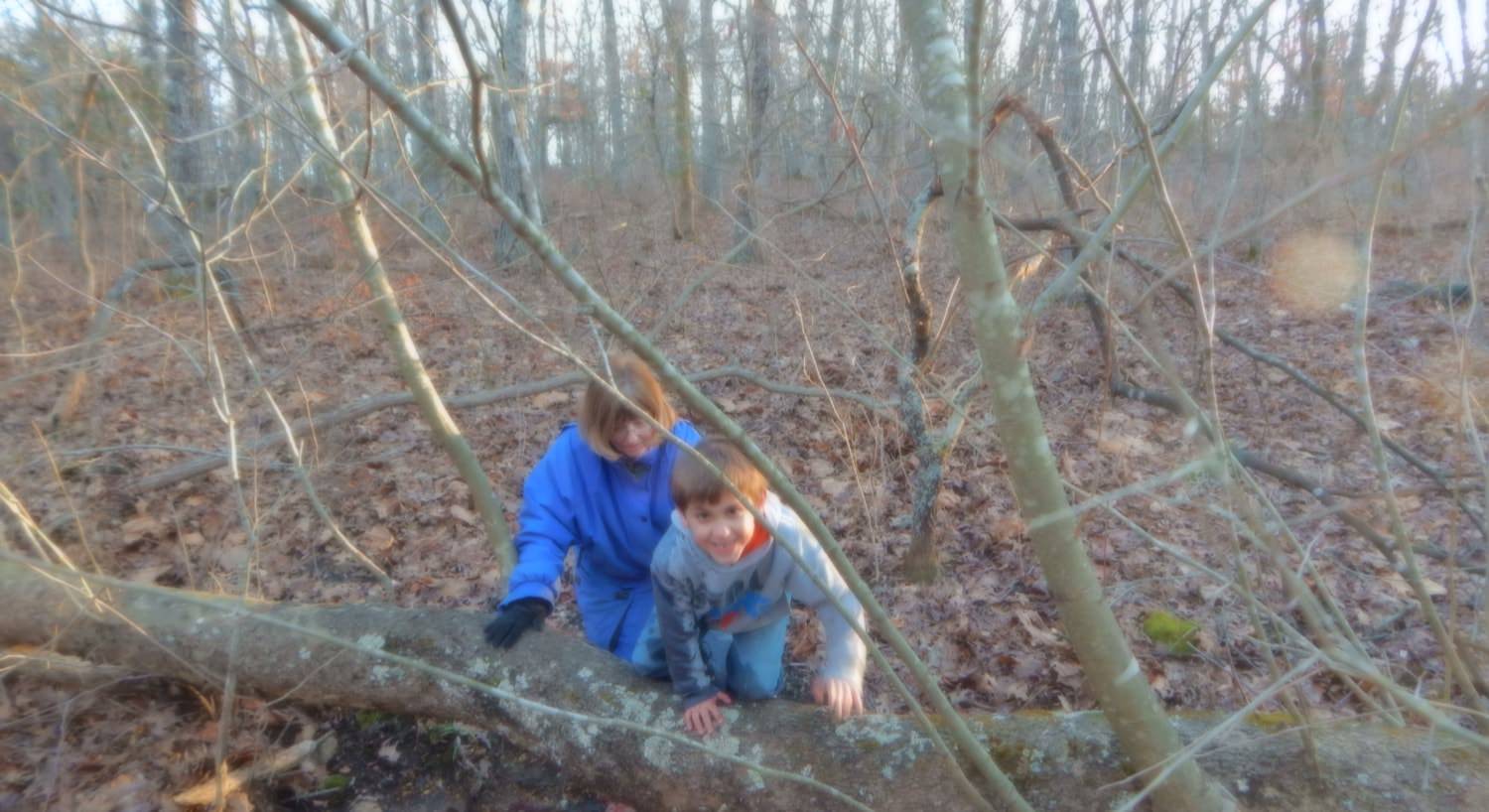 Lady with blue coat and boy with gray sweatshirt climbing on old trees in woods