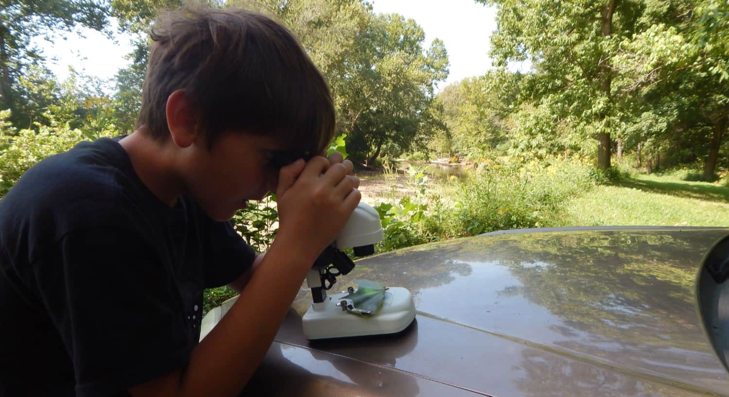 Young boy with dark shirt looking at leaves through a microscope