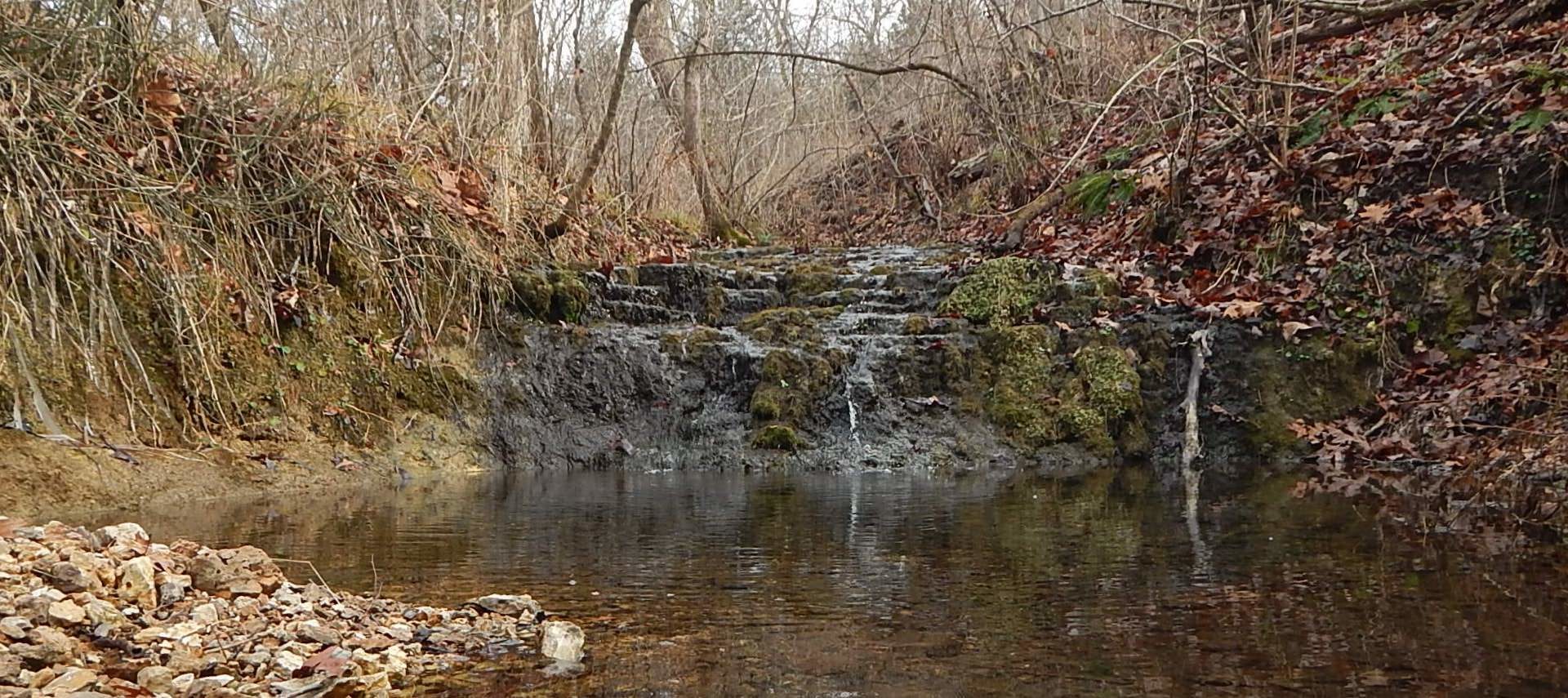 Small waterfall surrounded by rocks, moss, and bushes and trees with no leaves